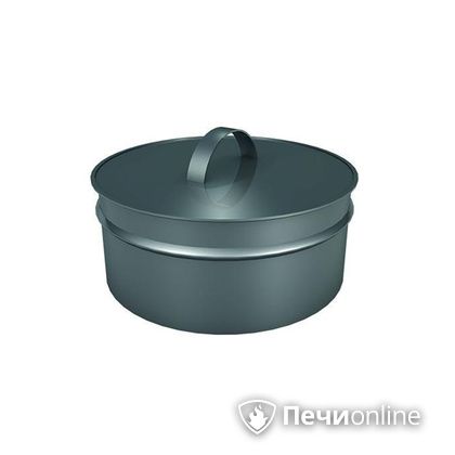 Заглушки Теплов и Сухов Заглушка ревизии Термо-Р 304 0.5 D220(120) в Серове